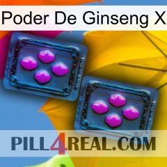 Ginseng Power X 03